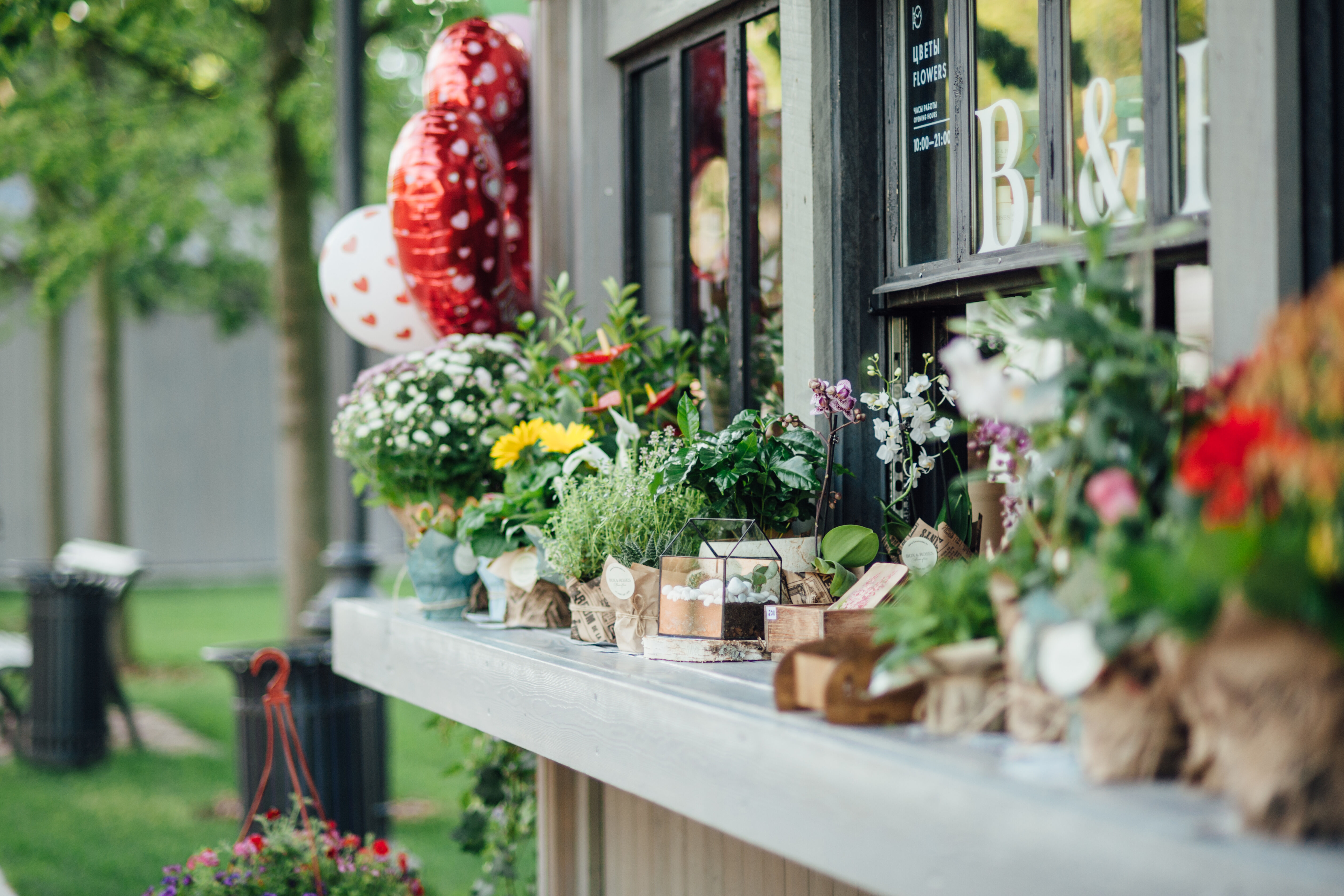 Flowers (2).JPG
